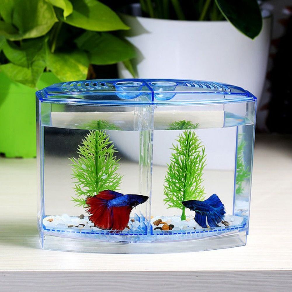 Aquarium Fish Cave - Şeffaf Betta balık tankı, çift ızgara