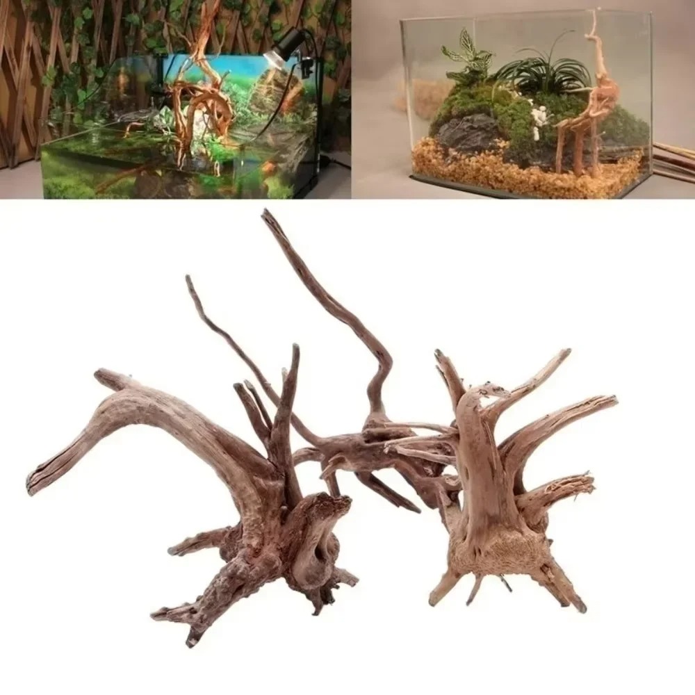 Aquarium Fish Fishing - (15-20cm) Doğal Deniz Odunu Akvaryum Dekorasyonu