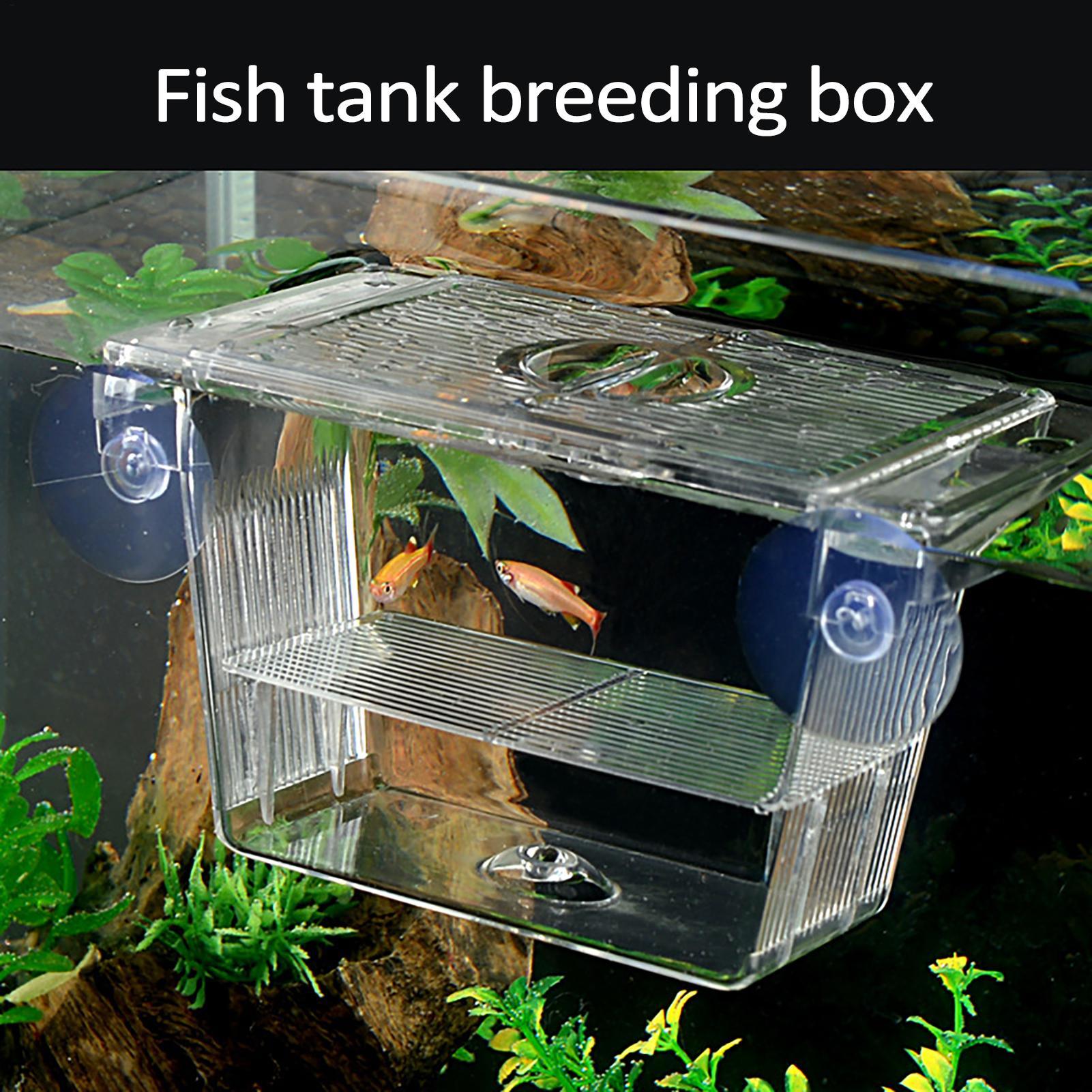 Fish Toy In Aquarium - Balık Tankı için Yetiştirici Kutusu Şeffaf
