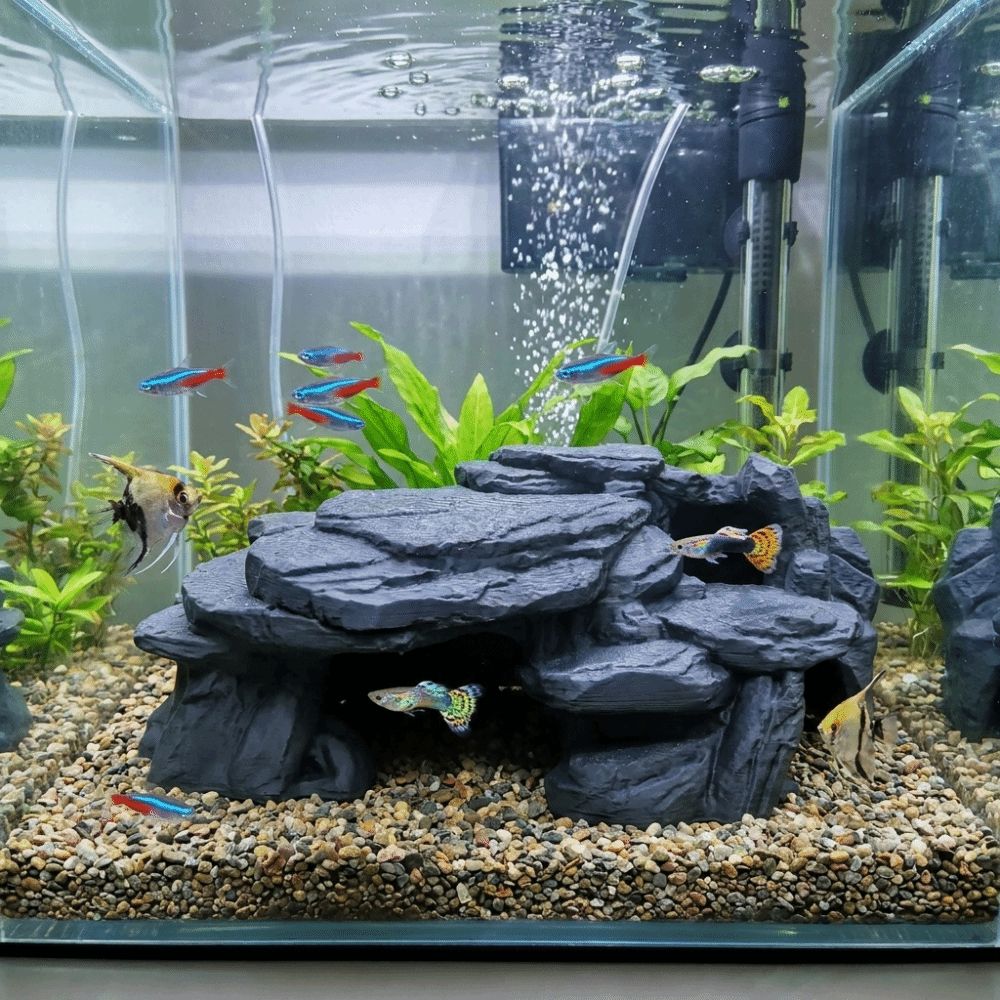 3D Baskılı Balık Tankı Kaya Sü - Aquarium Fish Hide incelemesi ve fiyatı