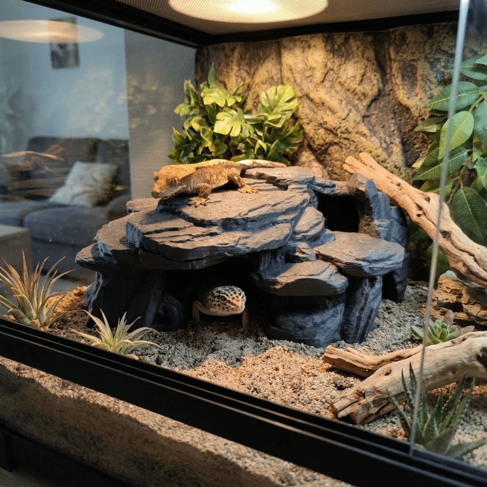 3D Baskılı Balık Tankı Kaya Sü - Aquarium Fish Hide incelemesi ve fiyatı