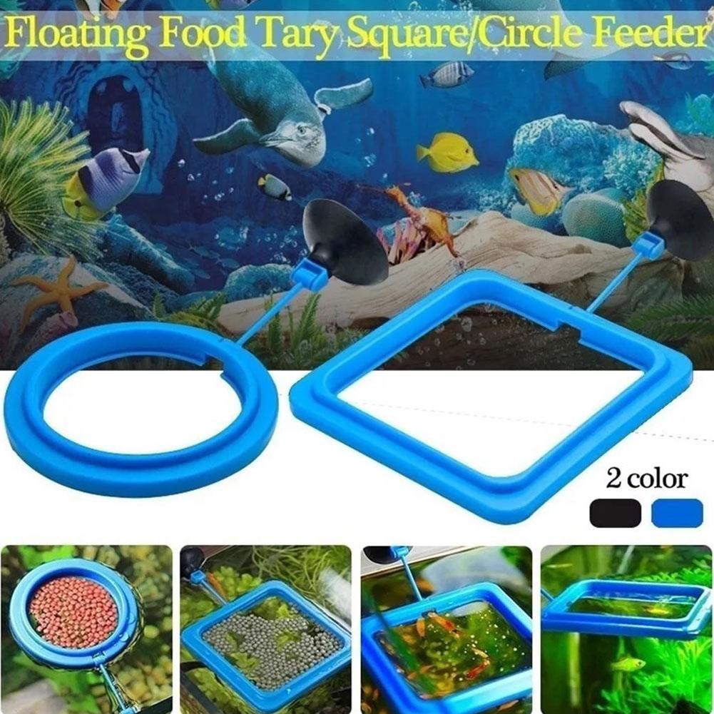 Balık Yemi Dağıtıcı Halka, Bal - Tetra Food Tropical Flakes incelemesi ve fiyatı