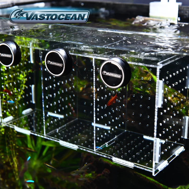 VASTOCEAN balık tankı manyetik - Aquarium Fish Cave incelemesi ve fiyatı