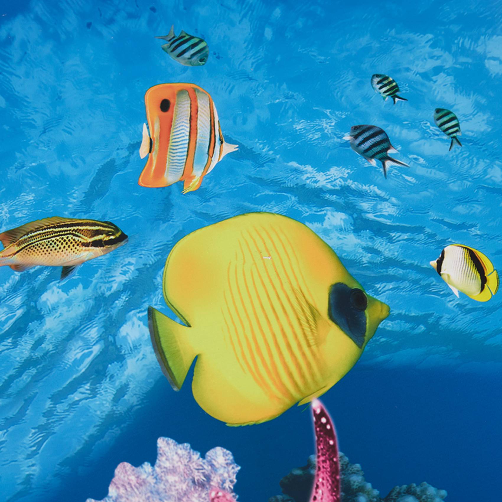 A77I Akvaryum Arka Plan Kağıdı - Fish In Aquarium Picture incelemesi ve fiyatı