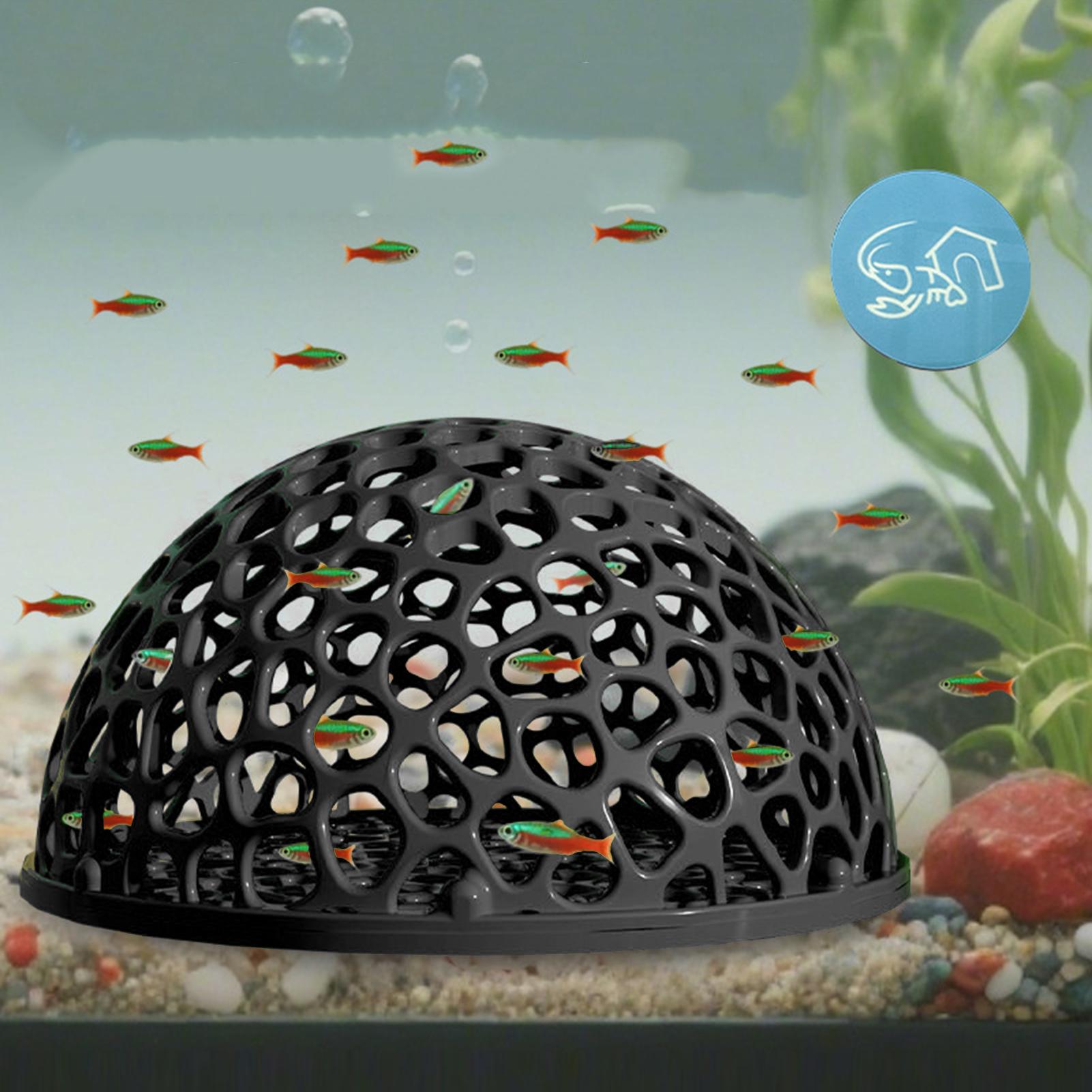 Küçük Balıklar ve Karidesler İ - Aquarium Fish Hide incelemesi ve fiyatı
