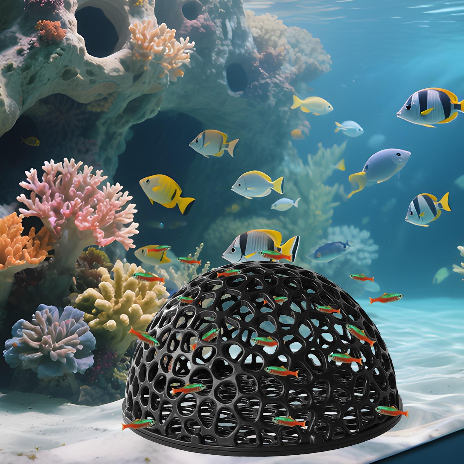 Küçük Balıklar ve Karidesler İ - Aquarium Fish Hide incelemesi ve fiyatı
