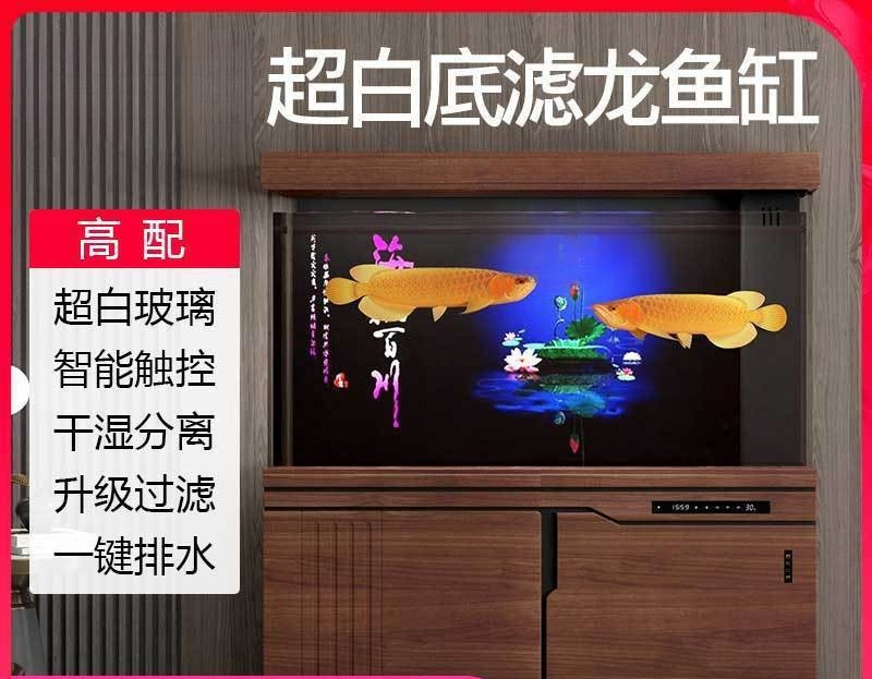 Xilong balık tankı büyük ve or - Aquarium Xilong incelemesi ve fiyatı