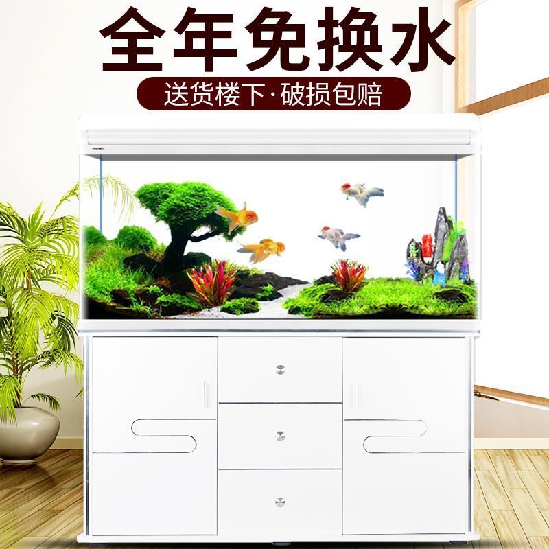 Xilong balık tankı akvaryumu k - Aquarium Xilong incelemesi ve fiyatı