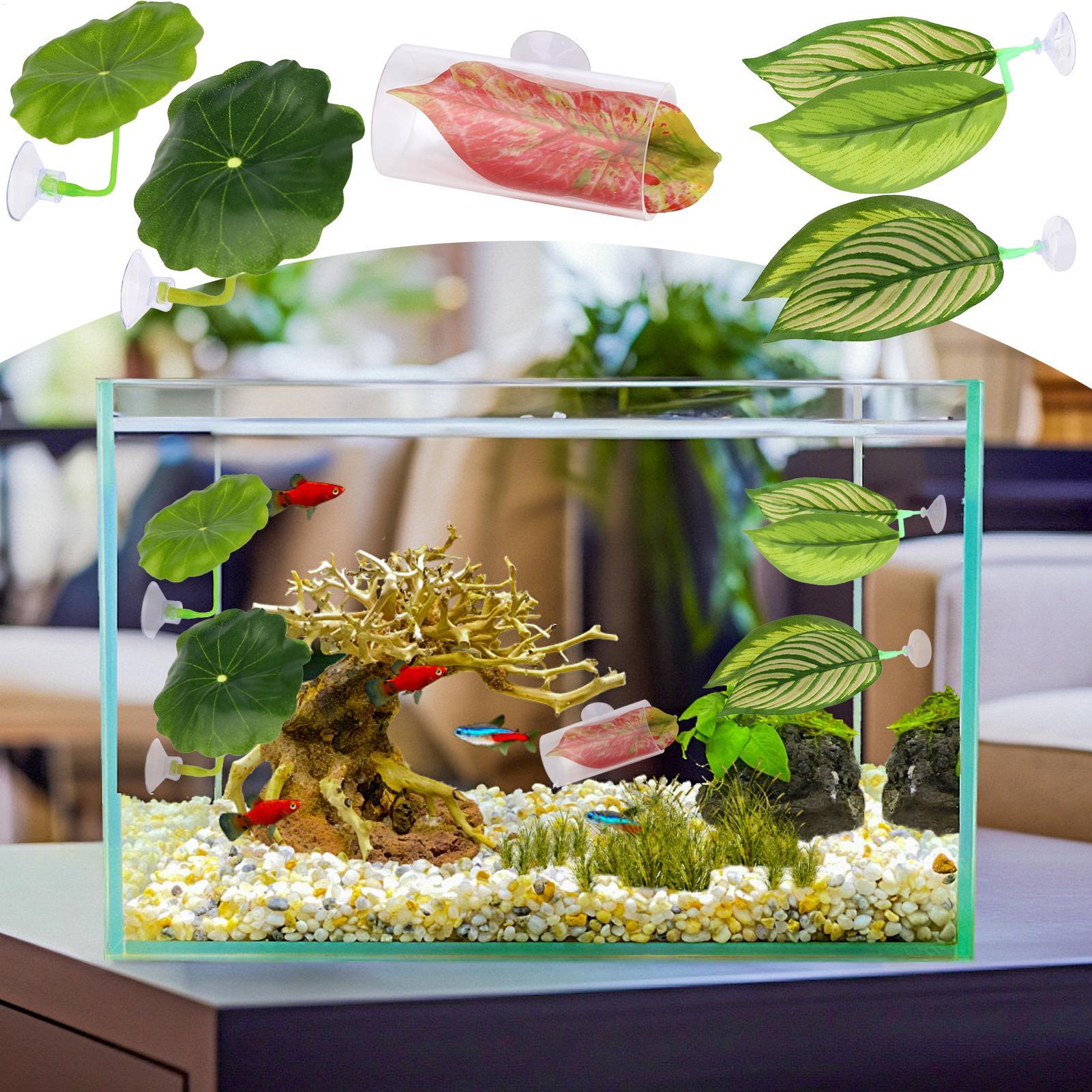 5 Parça Ayarlanabilir Beta Yap - Fish Toy In Aquarium incelemesi ve fiyatı
