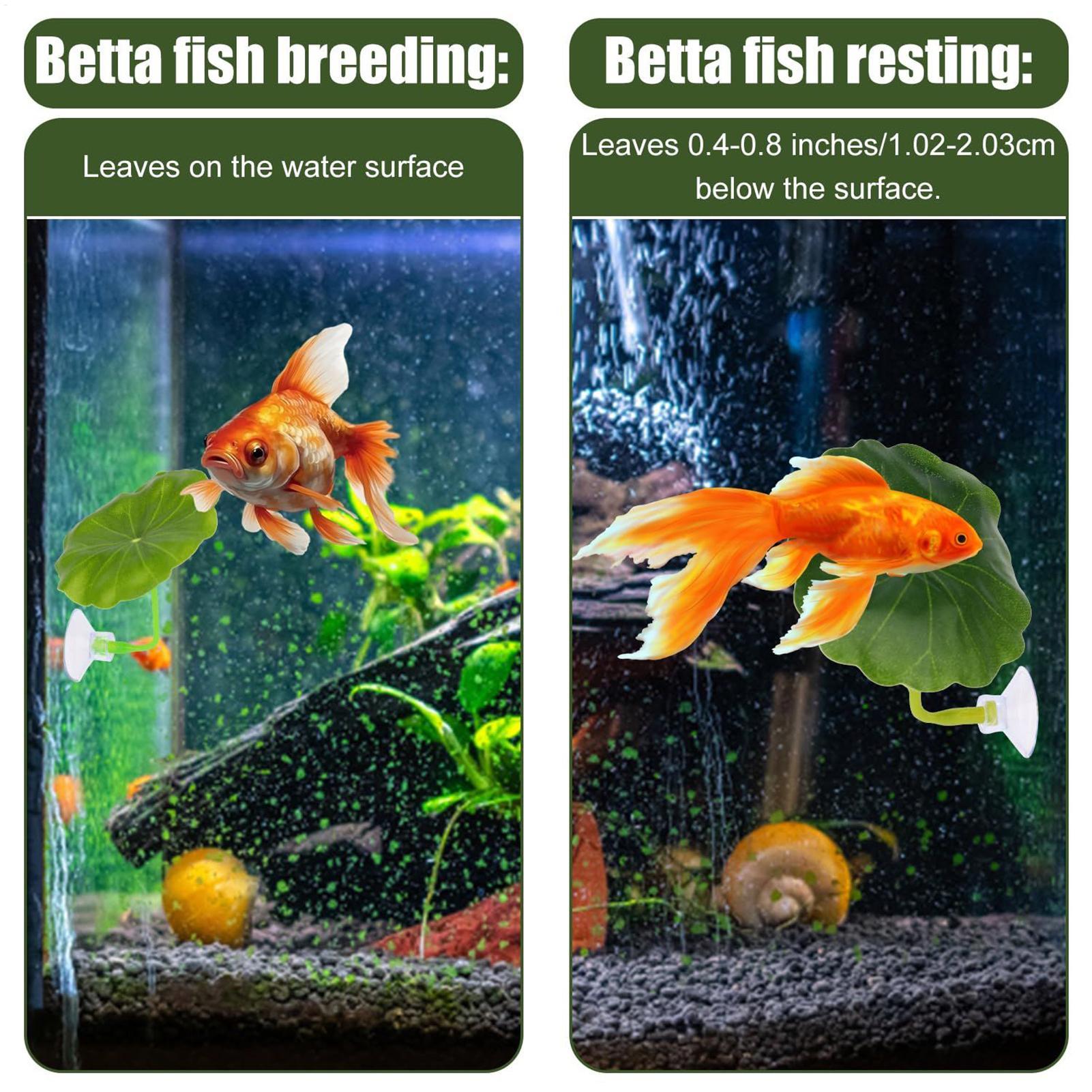 5 Parça Ayarlanabilir Beta Yap - Fish Toy In Aquarium incelemesi ve fiyatı