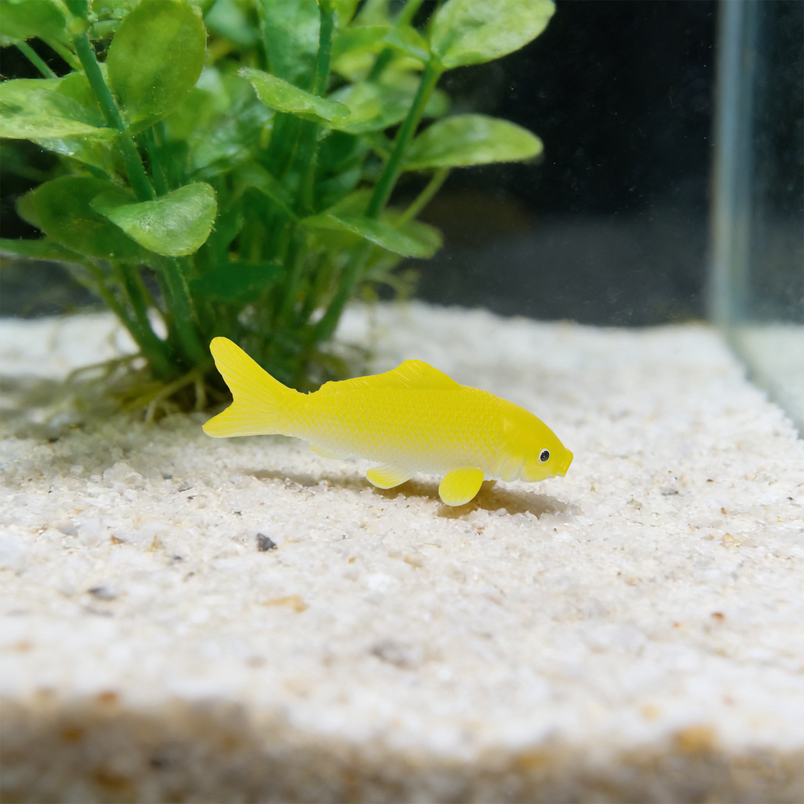 3 adet Balık El Sanatları Oyun - Fish Toy In Aquarium incelemesi ve fiyatı