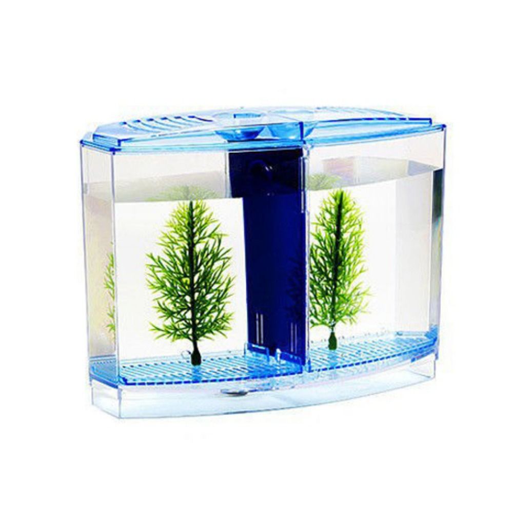 Şeffaf Betta balık tankı, çift - Aquarium Fish Cave incelemesi ve fiyatı