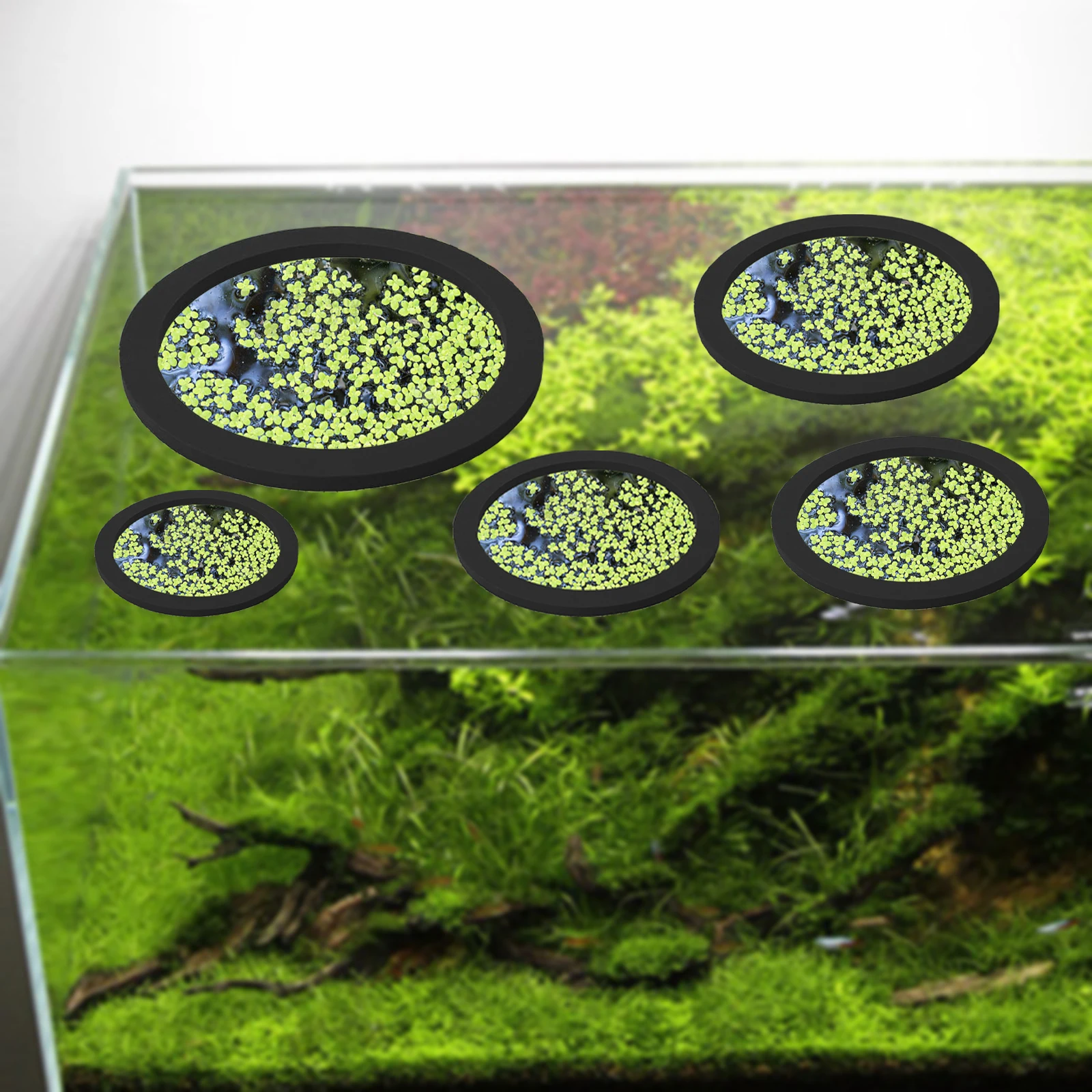 5 adet EVA balık besleme halka - Aquarium Fish Bowl incelemesi ve fiyatı