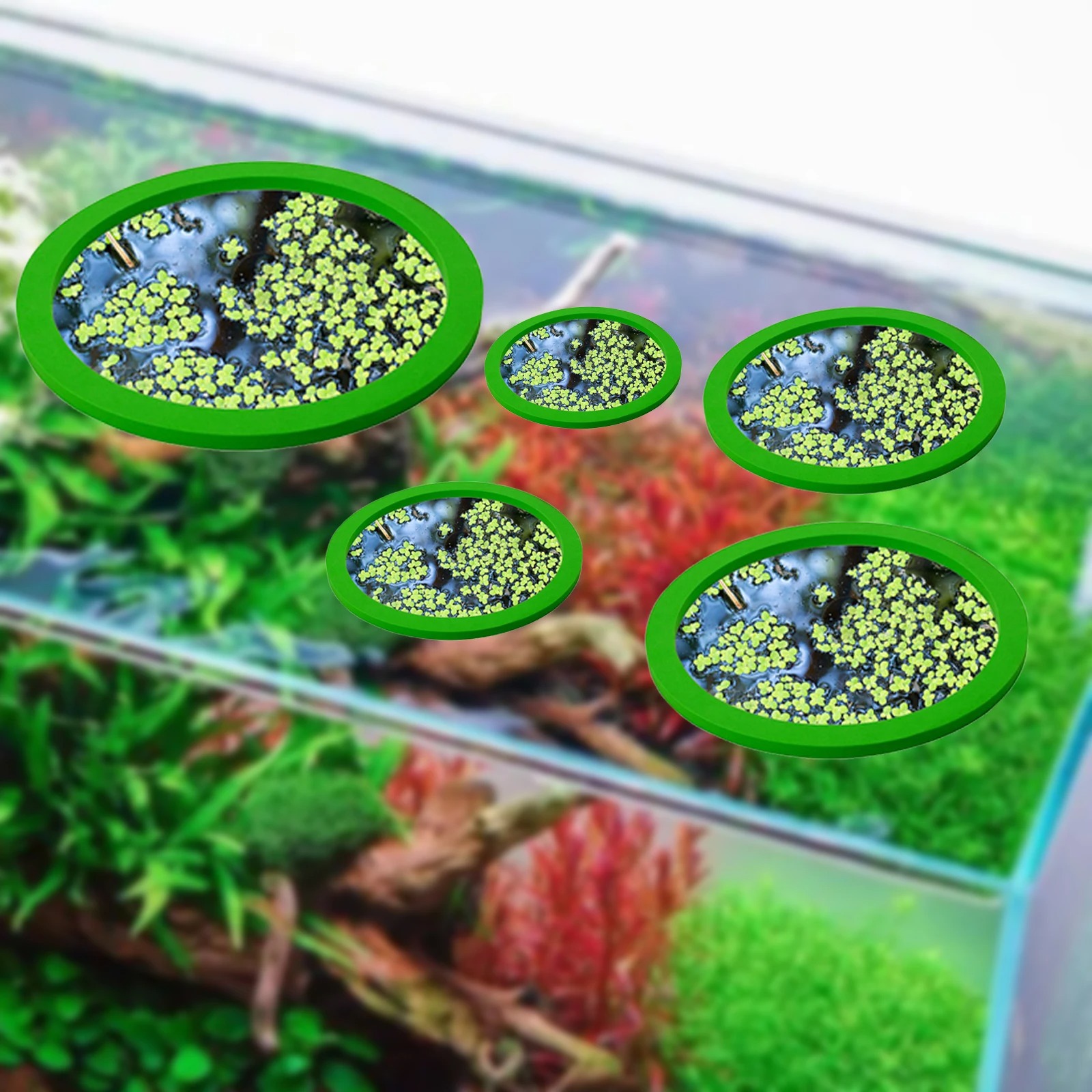 5 adet EVA balık besleme halka - Aquarium Fish Bowl incelemesi ve fiyatı
