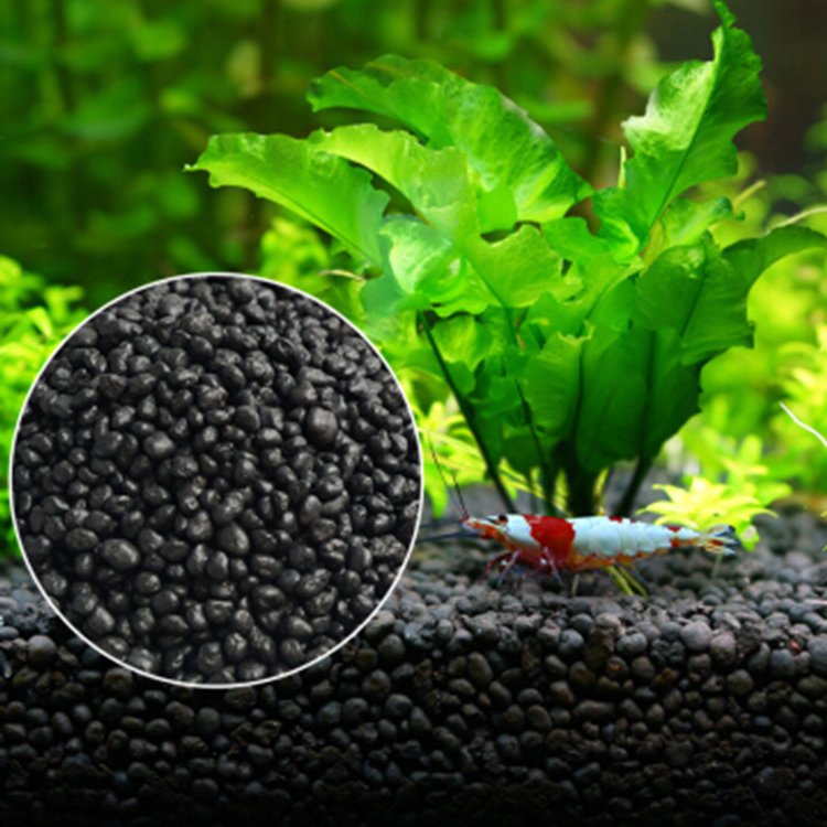 Akvaryum bitki tohumları topra - Aquarium Fish Photography incelemesi ve fiyatı