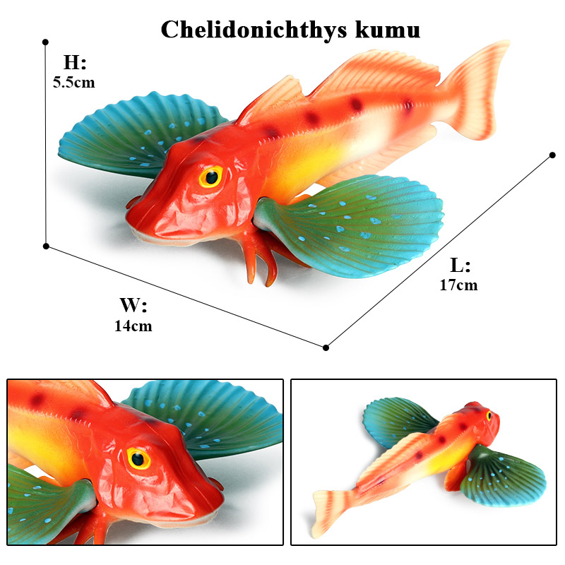 Oenux deniz yaşamı hayvanlar m - Fish In Aquarium Picture incelemesi ve fiyatı
