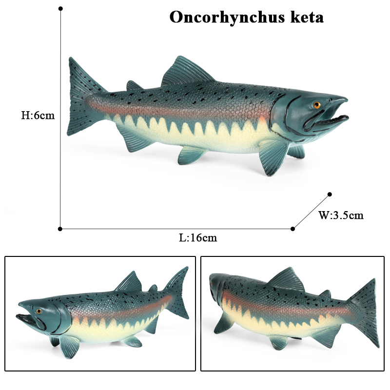 Oenux deniz yaşamı hayvanlar m - Fish In Aquarium Picture incelemesi ve fiyatı