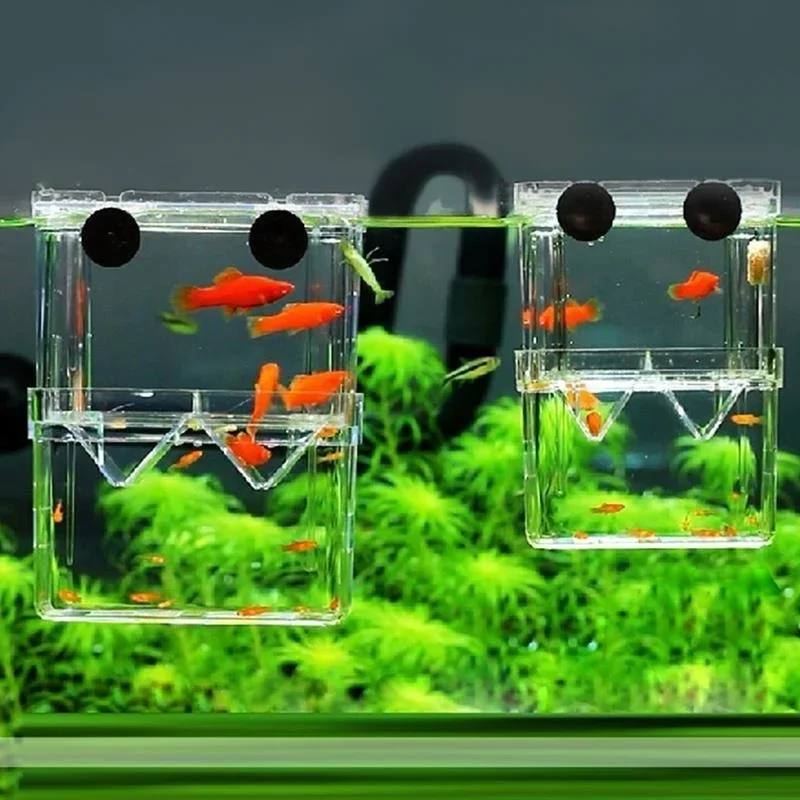 Çok Fonksiyonlu Balık Akvaryum - Aquarium Fish Cave incelemesi ve fiyatı