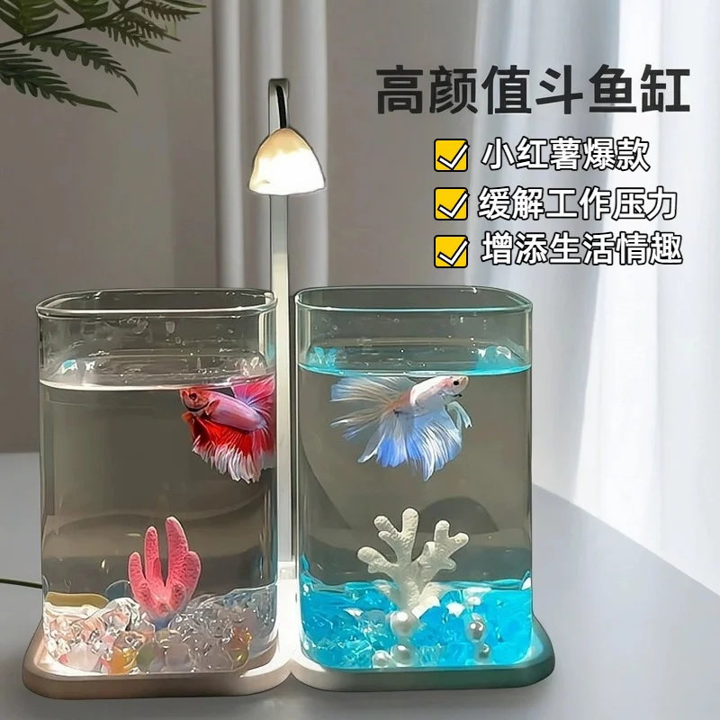 Mini Betta Balığı Cam Akvaryum - Fish Toy In Aquarium incelemesi ve fiyatı