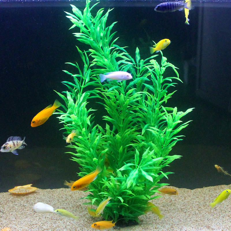50 CM Yapay Balık Tankı Nadir  - Aquarium Fish Fishing incelemesi ve fiyatı