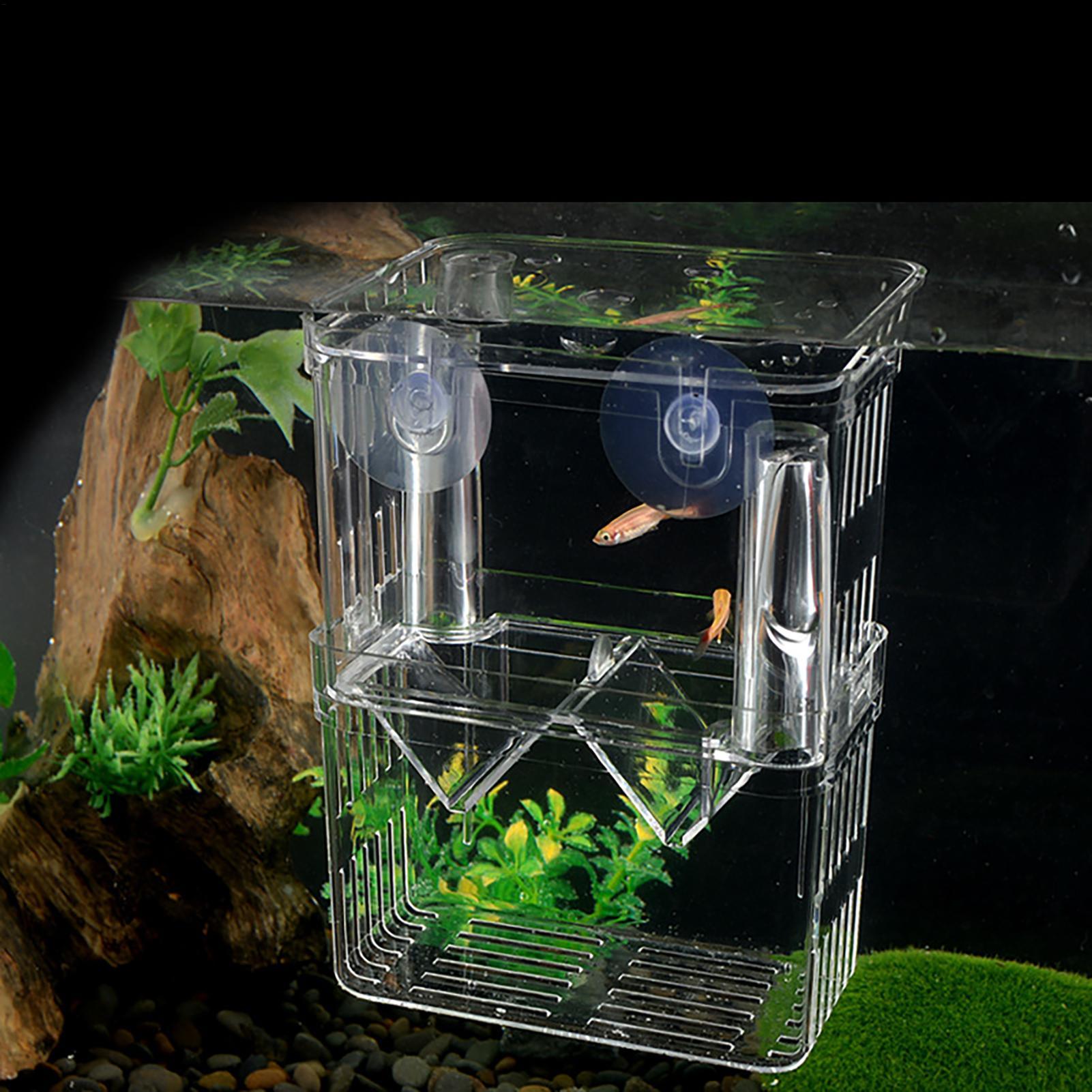 Balık Tankı için Yetiştirici K - Fish Toy In Aquarium incelemesi ve fiyatı