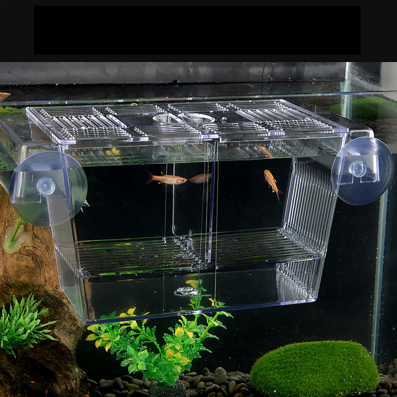 Balık Tankı için Yetiştirici K - Fish Toy In Aquarium incelemesi ve fiyatı