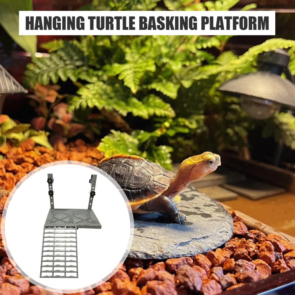 Akvaryum Dekorasyonu Katı Form - Aquarium Fish Fishing incelemesi ve fiyatı