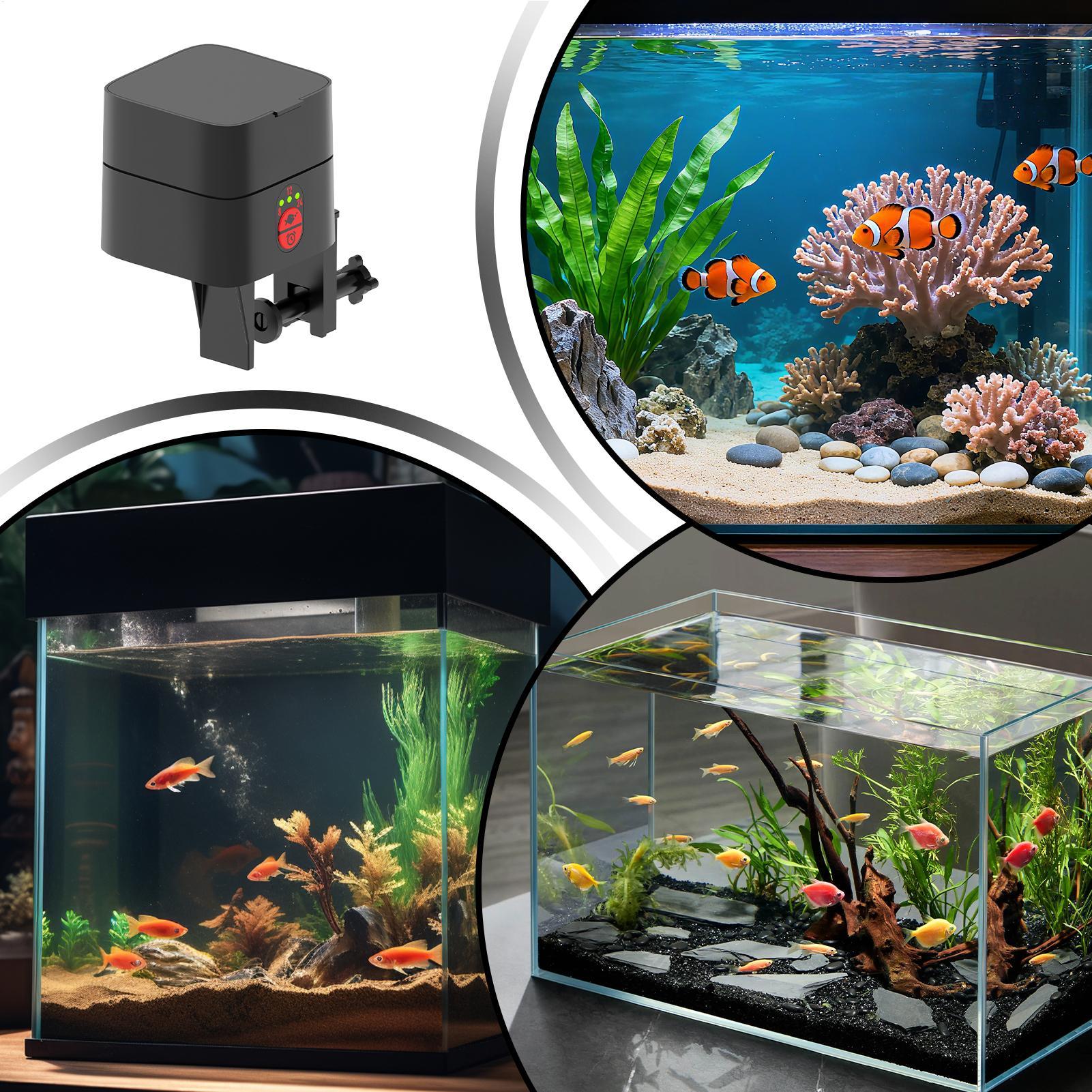 Akvaryum için Otomatik Balık B - Fish Toy In Aquarium incelemesi ve fiyatı