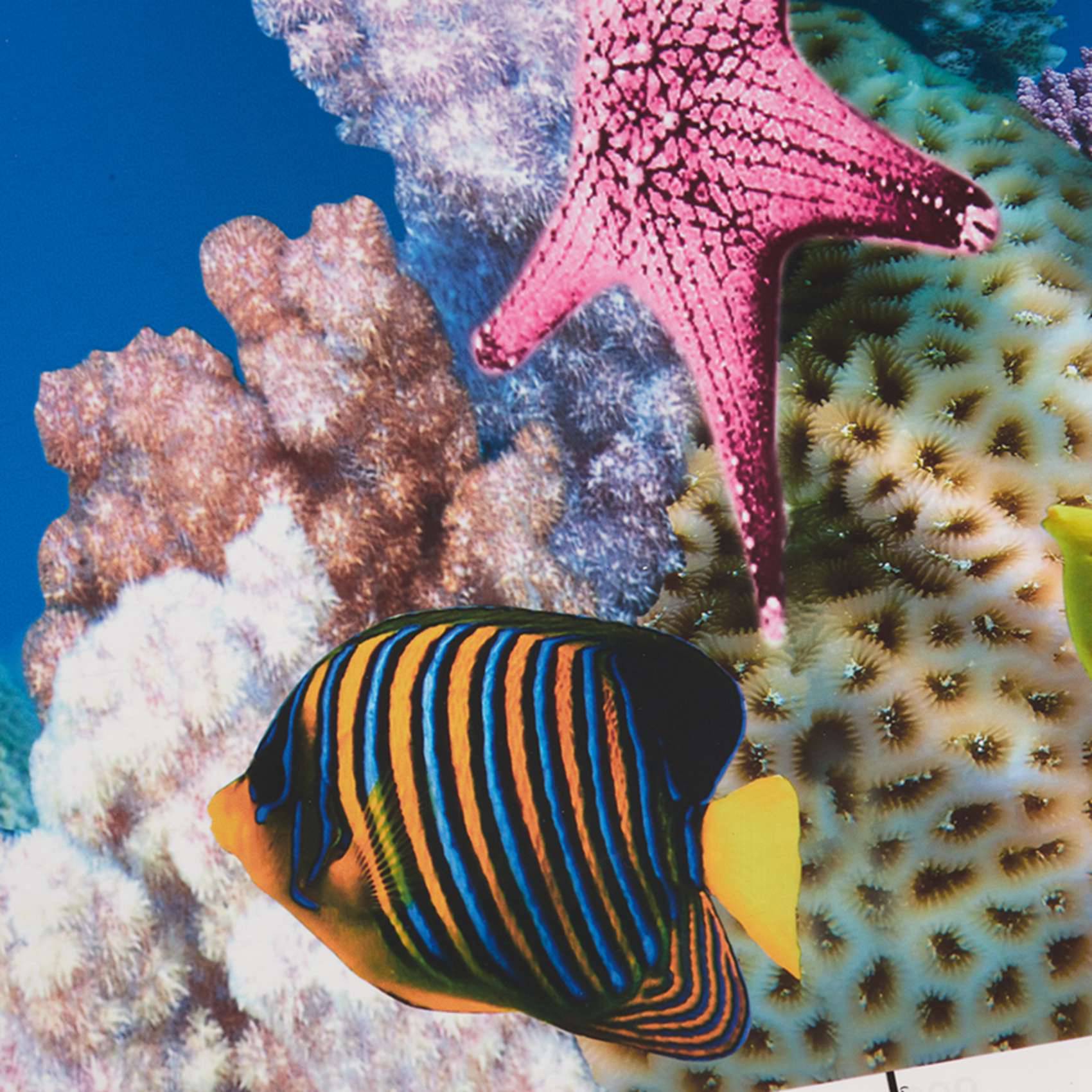 2 Adet Akvaryum Arka Plan Kağı - Fish In Aquarium Picture incelemesi ve fiyatı