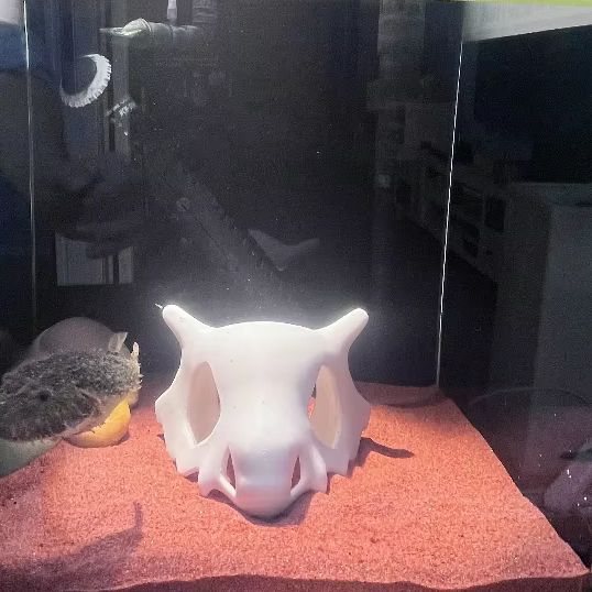 3D Baskılı Balık Karides Sürün - Aquarium Fish Cave incelemesi ve fiyatı