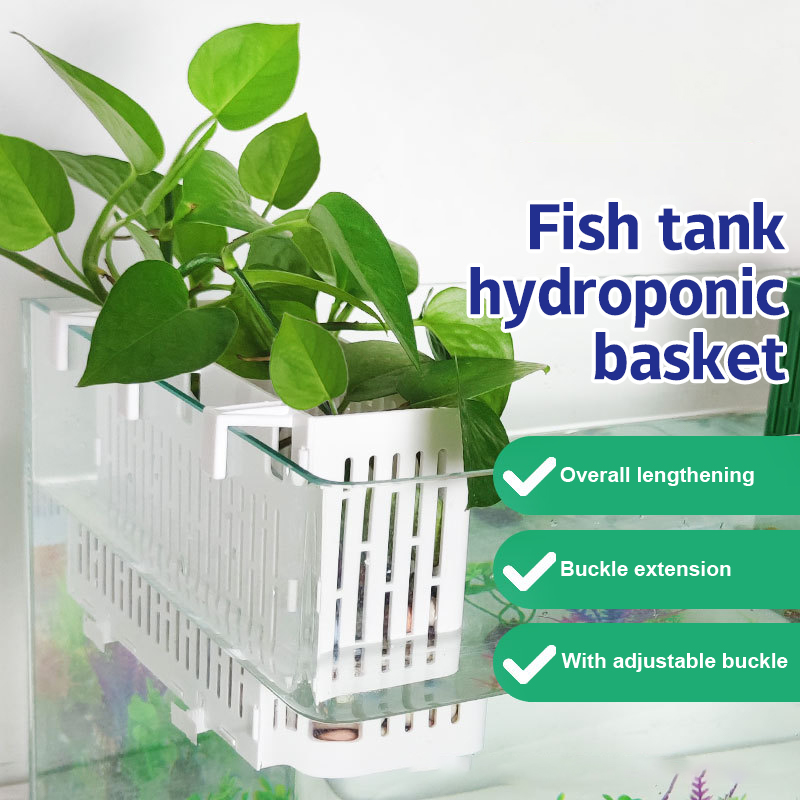 Balık Tankı Asılı Saksı Su Bit - Aquarium Fish Photography incelemesi ve fiyatı
