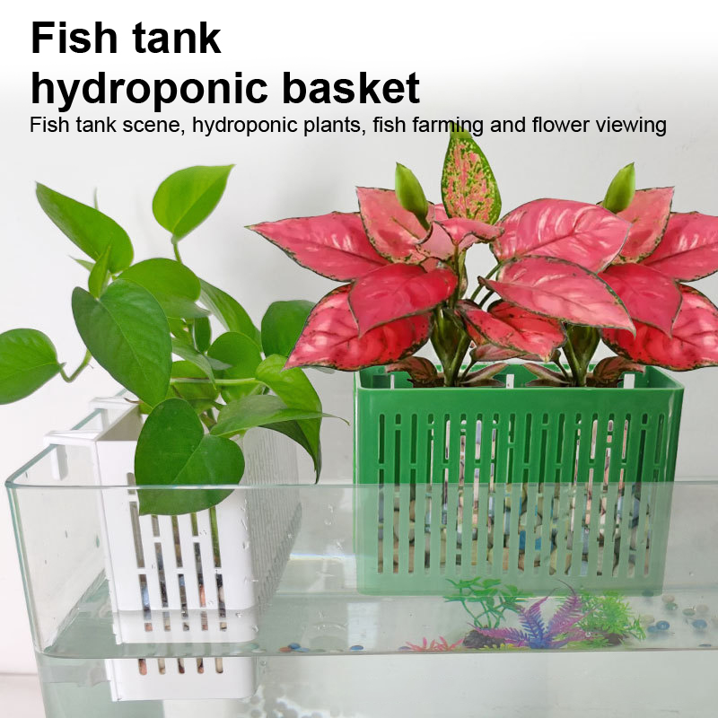 Balık Tankı Asılı Saksı Su Bit - Aquarium Fish Photography incelemesi ve fiyatı