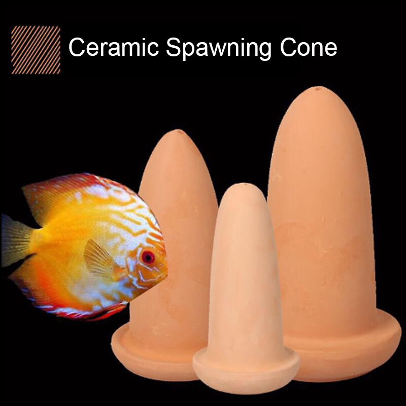 Diskus Balıkları ve Melek Balı - Aquarium Fish Hide incelemesi ve fiyatı